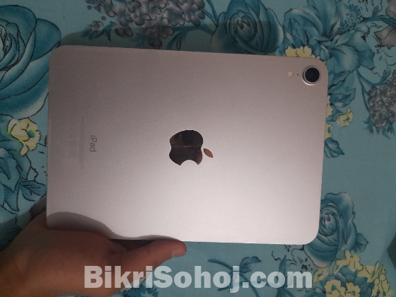 iPad mini 6th 256GB